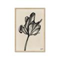 Picture of Spring-blooming _GroupedProduct_Rectangle_Portrait_Framed_Matted_