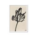 Picture of Spring-blooming _GroupedProduct_Rectangle_Portrait_Framed_Matted_