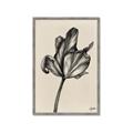 Picture of Spring-blooming _GroupedProduct_Rectangle_Portrait_Framed_Matted_