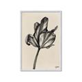 Picture of Spring-blooming _GroupedProduct_Rectangle_Portrait_Framed_Matted_