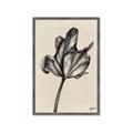 Picture of Spring-blooming _GroupedProduct_Rectangle_Portrait_Framed_Matted_
