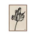 Picture of Spring-blooming _GroupedProduct_Rectangle_Portrait_Framed_Matted_