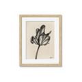 Picture of Spring-blooming _GroupedProduct_Rectangle_Portrait_Framed_Matted_