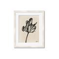 Picture of Spring-blooming _GroupedProduct_Rectangle_Portrait_Framed_Matted_