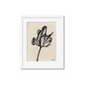 Picture of Spring-blooming _GroupedProduct_Rectangle_Portrait_Framed_Matted_