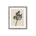 Picture of Spring-blooming _GroupedProduct_Rectangle_Portrait_Framed_Matted_