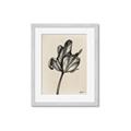 Picture of Spring-blooming _GroupedProduct_Rectangle_Portrait_Framed_Matted_