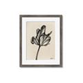 Picture of Spring-blooming _GroupedProduct_Rectangle_Portrait_Framed_Matted_