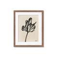 Picture of Spring-blooming _GroupedProduct_Rectangle_Portrait_Framed_Matted_