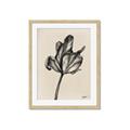 Picture of Spring-blooming _GroupedProduct_Rectangle_Portrait_Framed_Matted_