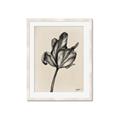 Picture of Spring-blooming _GroupedProduct_Rectangle_Portrait_Framed_Matted_