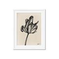 Picture of Spring-blooming _GroupedProduct_Rectangle_Portrait_Framed_Matted_