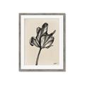 Picture of Spring-blooming _GroupedProduct_Rectangle_Portrait_Framed_Matted_