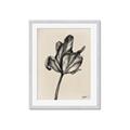 Picture of Spring-blooming _GroupedProduct_Rectangle_Portrait_Framed_Matted_