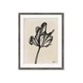 Picture of Spring-blooming _GroupedProduct_Rectangle_Portrait_Framed_Matted_