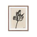 Picture of Spring-blooming _GroupedProduct_Rectangle_Portrait_Framed_Matted_