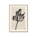 Picture of Spring-blooming _GroupedProduct_Rectangle_Portrait_Framed_Matted_