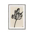 Picture of Spring-blooming _GroupedProduct_Rectangle_Portrait_Framed_Matted_