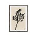 Picture of Spring-blooming _GroupedProduct_Rectangle_Portrait_Framed_Matted_