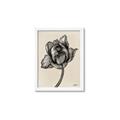 Picture of Spring-blooming II _GroupedProduct_Rectangle_Portrait_Framed_Matted_