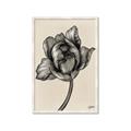 Picture of Spring-blooming II _GroupedProduct_Rectangle_Portrait_Framed_Matted_