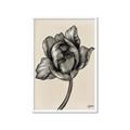 Picture of Spring-blooming II _GroupedProduct_Rectangle_Portrait_Framed_Matted_