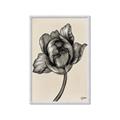Picture of Spring-blooming II _GroupedProduct_Rectangle_Portrait_Framed_Matted_