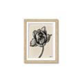Picture of Spring-blooming II _GroupedProduct_Rectangle_Portrait_Framed_Matted_