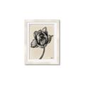 Picture of Spring-blooming II _GroupedProduct_Rectangle_Portrait_Framed_Matted_