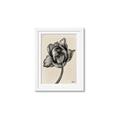 Picture of Spring-blooming II _GroupedProduct_Rectangle_Portrait_Framed_Matted_