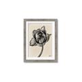 Picture of Spring-blooming II _GroupedProduct_Rectangle_Portrait_Framed_Matted_