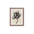 Picture of Spring-blooming II _GroupedProduct_Rectangle_Portrait_Framed_Matted_