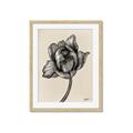 Picture of Spring-blooming II _GroupedProduct_Rectangle_Portrait_Framed_Matted_