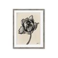Picture of Spring-blooming II _GroupedProduct_Rectangle_Portrait_Framed_Matted_