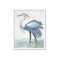Picture of Blue Storks I _GroupedProduct_Rectangle_Portrait_Framed_Matted_