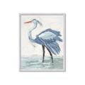 Picture of Blue Storks I _GroupedProduct_Rectangle_Portrait_Framed_Matted_