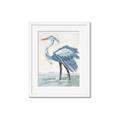 Picture of Blue Storks I _GroupedProduct_Rectangle_Portrait_Framed_Matted_