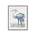 Picture of Blue Storks I _GroupedProduct_Rectangle_Portrait_Framed_Matted_