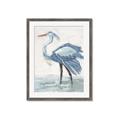Picture of Blue Storks I _GroupedProduct_Rectangle_Portrait_Framed_Matted_