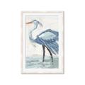 Picture of Blue Storks I _GroupedProduct_Rectangle_Portrait_Framed_Matted_