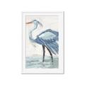 Picture of Blue Storks I _GroupedProduct_Rectangle_Portrait_Framed_Matted_