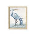 Picture of Blue Storks I _GroupedProduct_Rectangle_Portrait_Framed_Matted_