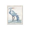 Picture of Blue Storks I _GroupedProduct_Rectangle_Portrait_Framed_Matted_