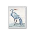 Picture of Blue Storks I _GroupedProduct_Rectangle_Portrait_Framed_Matted_