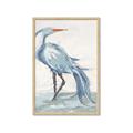 Picture of Blue Storks I _GroupedProduct_Rectangle_Portrait_Framed_Matted_