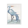 Picture of Blue Storks I _GroupedProduct_Rectangle_Portrait_Framed_Matted_