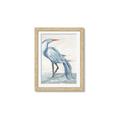 Picture of Blue Storks I _GroupedProduct_Rectangle_Portrait_Framed_Matted_