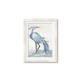 Picture of Blue Storks I _GroupedProduct_Rectangle_Portrait_Framed_Matted_