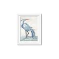 Picture of Blue Storks I _GroupedProduct_Rectangle_Portrait_Framed_Matted_
