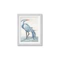Picture of Blue Storks I _GroupedProduct_Rectangle_Portrait_Framed_Matted_